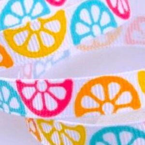 Grosgrain Ribbon 3/8” 10 yard bundle citrus fruit summer colorful shipping ship